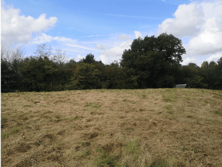 Paddock Land on Hodgetts Lane, Berkswell, Warwickshire CV7 7DH