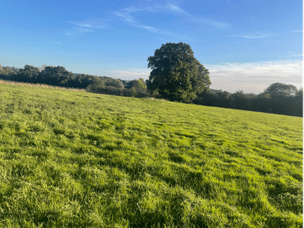 Land at Hoggrills End Lane, Nether Whitacre, B46 2DE
